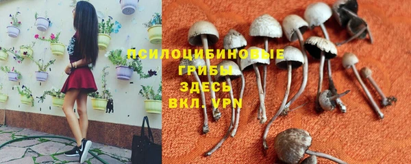 бутират Вязники