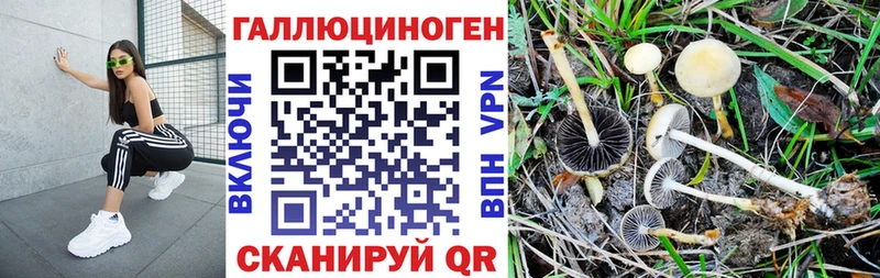 Псилоцибиновые грибы мицелий  Кисловодск 